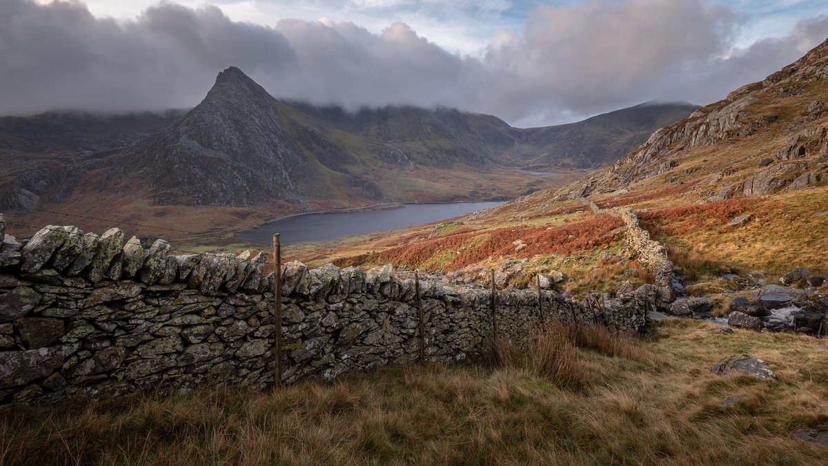 Stuart.Walton.Photography tweet media