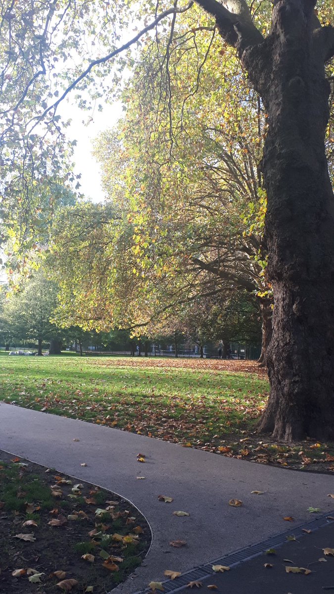 GullyJemali's tweet photo. Lovely show @BBCSpringwatch This is Vauxhall Park this morning🍂 https://t.co/NdPdPhbIbM