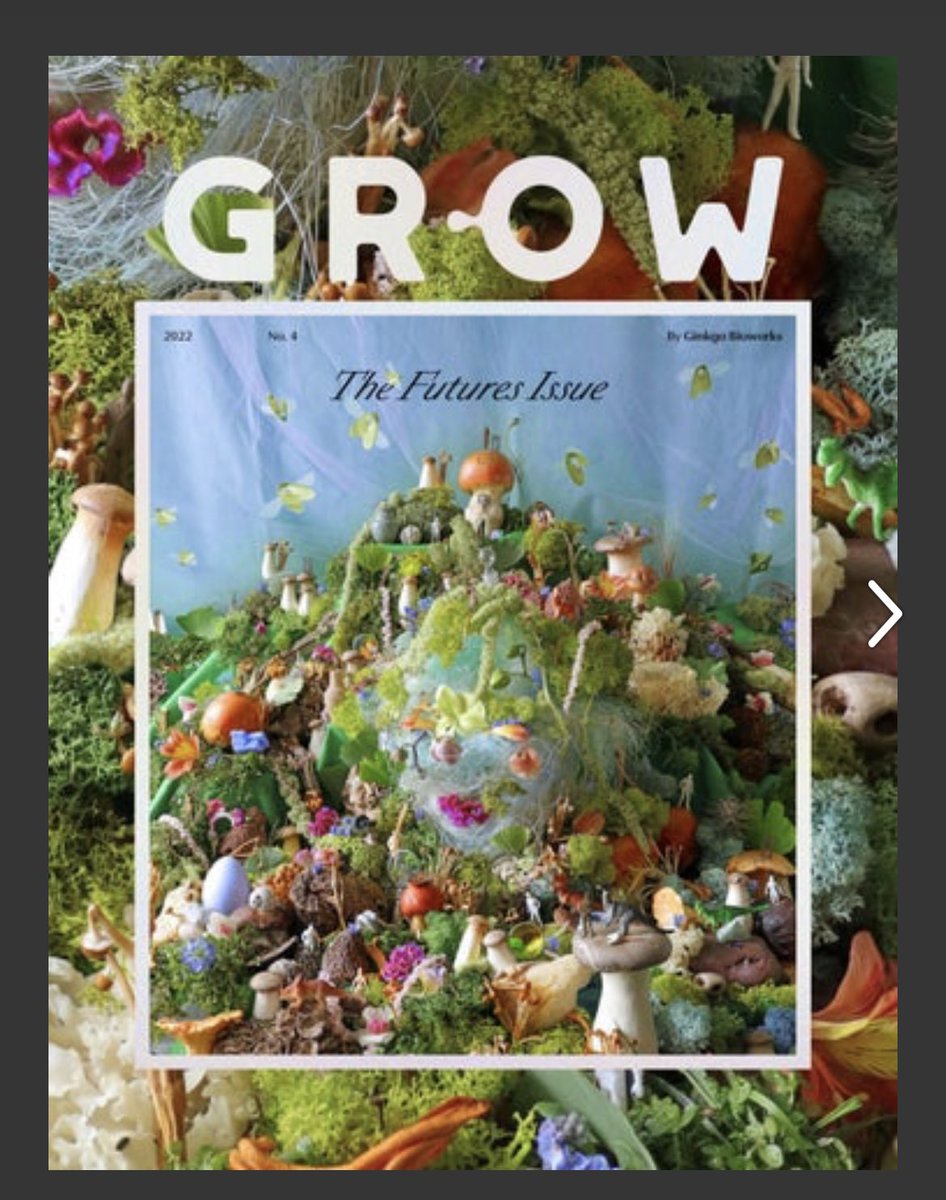 QasimHassnain's tweet photo. Ooooo the new @growbyginkgo magazine launched at the #iGEM2022 Jamboree!!

Can’t wait to get my eyes on it now and hands later https://t.co/phxZtb8gCf