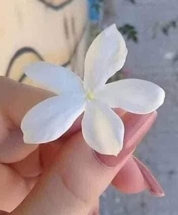 لقد إحترقنا بما يَكفي حتماً سيأتي وقت لنُضئ فيه وتنتهي عتمة أرواحنا🥀