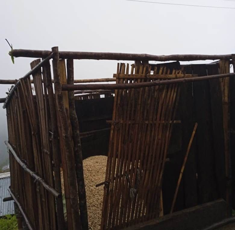 morungexpress05's tweet photo. In #Kiphire district, the lower-section of the #government High School in Phisami village district was blown by storm-forced winds and gales, leading to closure of the school on Tuesday. #SitrangCyclone
https://t.co/pwJFDQprtC https://t.co/DRhuSYtDso