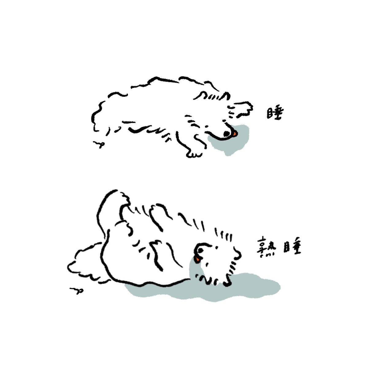 犬のすべて2 