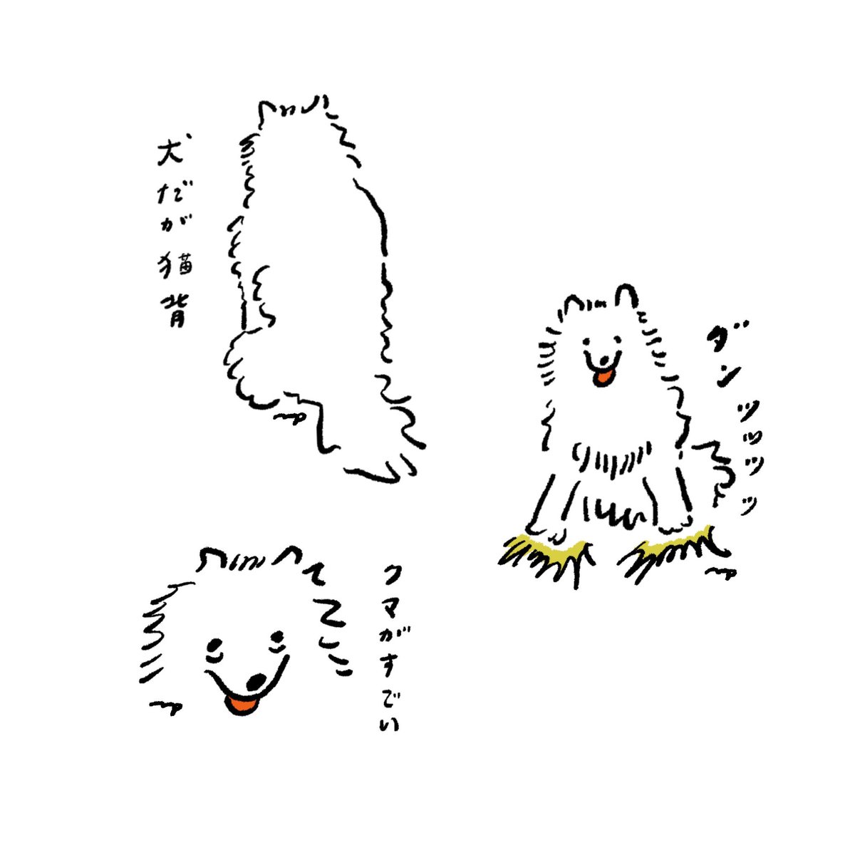 犬のすべて2 