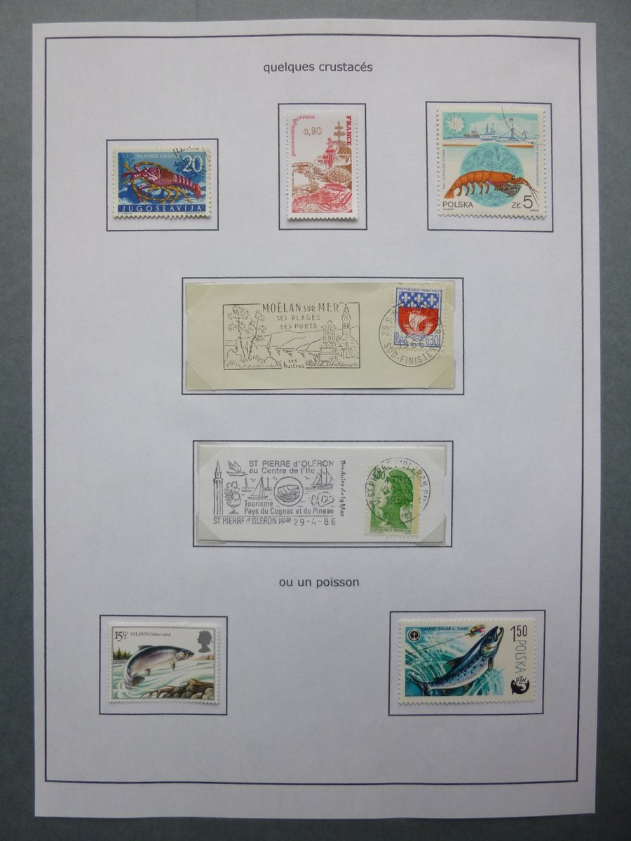 ArchivesT12GOSB's tweet photo. #Philatélie #Don

Pour finir la #BattleMenu, découvrez le menu du passage à l’an 2000 du club de philatélie de @JuvisyOfficiel !! 😀
Il vient du fonds privé Jean et Renée FOUREST et il est illustré tout en timbres et tampons postaux ! 🥰
😋 🥩 🍲 😊

[JU_8Z_24] #DansNosFonds 👇 https://t.co/gJKYlm02d7