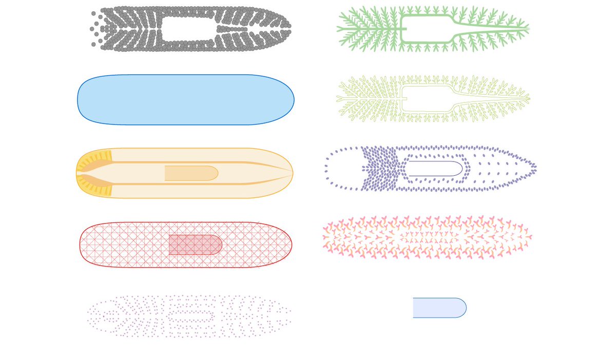 In this mini-review, Helena García-Castro <a href="/gact_hel/">Helena García Castro</a>  and I summarise the current state of single cell transcriptomics in planarians and outline future directions.

Let me mini-mini-review our mini-review:
👇🧵

portlandpress.com/biochemsoctran…
