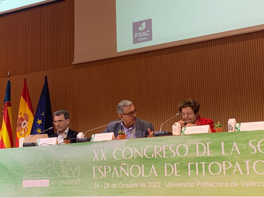 FITORES_SEF tweet media