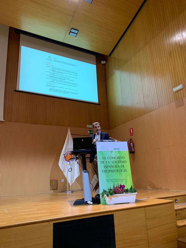 FITORES_SEF tweet media