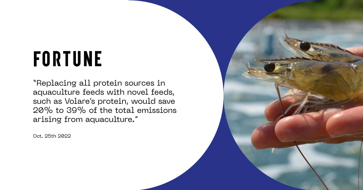 Our solution: scalable and sustainable protein, 100% from existing food industry side streams.

Read the full <a href="/FortuneMagazine/">FORTUNE</a> article: fortune.com/2022/10/24/dir…