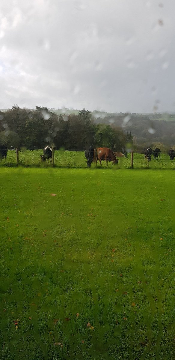 Tim O'Leary tweet media