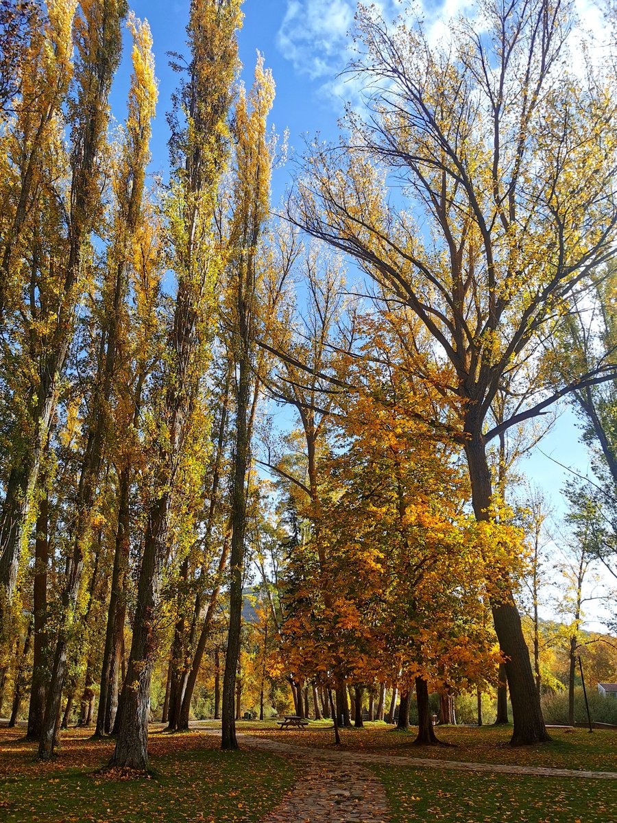 agata_gro's tweet photo. 🧡🍂🏵️ https://t.co/zZ0Pfipqd3