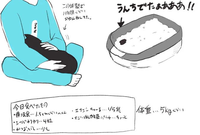 今日の時雨さん

💩出たぁああああああああああああああああ 
