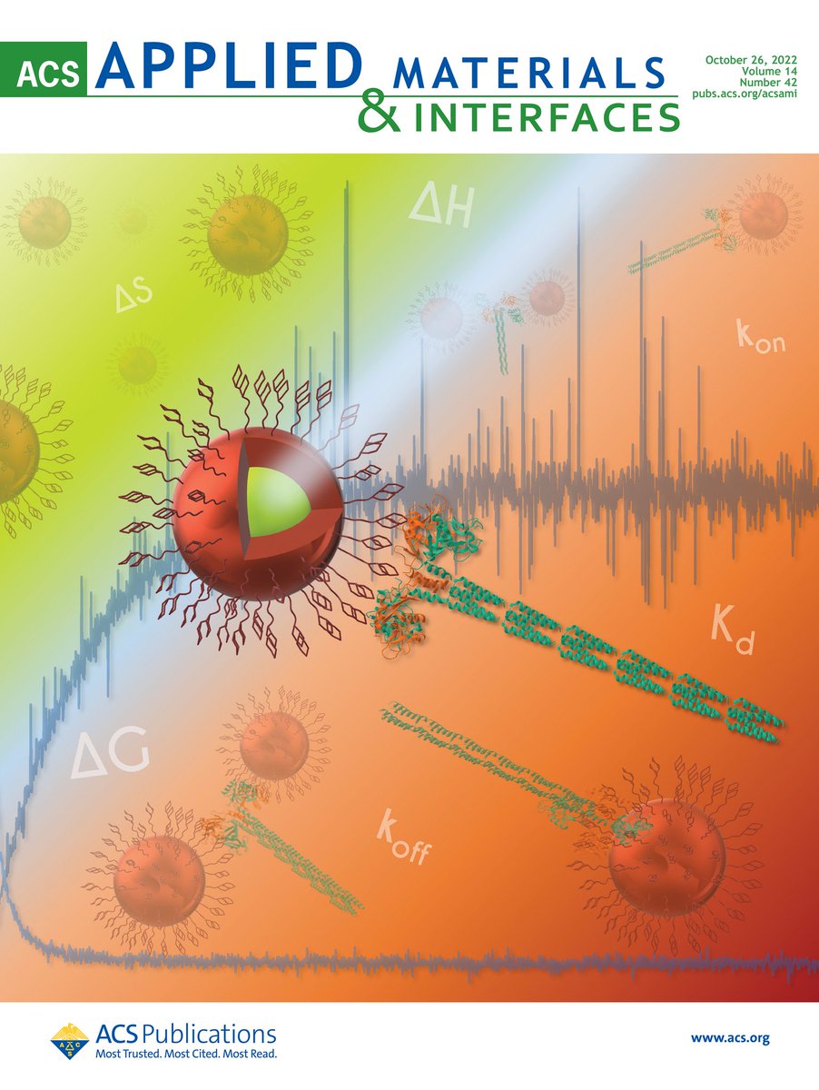 ZhouDejian's tweet photo. Great to see our glyan-quantum dot based multifunctional probe on lectin-glyan binding thermodynamic and kinetics being highlighted as a cover on @ACS_AMI! Well done, Jamie, our team and collaborators.🍾🍾 https://t.co/NdUvmhHMW7