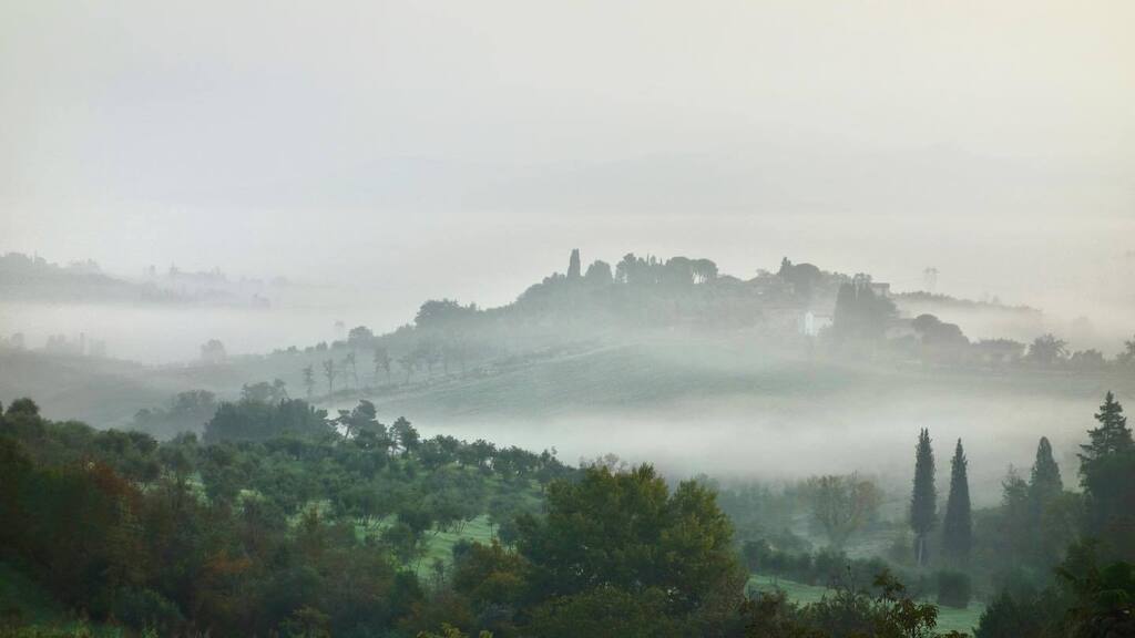 theamazer's tweet photo. Mare e monti

#falltime #fog #autumn #autunno #nature #autumnleaves #fall #foggy #autunno2017 #falltimesadness #autumncolors #autunnoinverno #falltimefun #photography #autunno2016 #falltimes #foglie #leaves #autunnoalmare #falltimefuntime #foglia #autumn… https://t.co/L2l2pstips https://t.co/UnLwCbqqUg