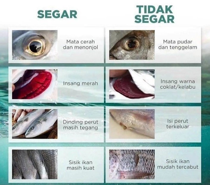 aaizatnizam's tweet photo. Tips memilih ikan segar https://t.co/UvVW5W931V