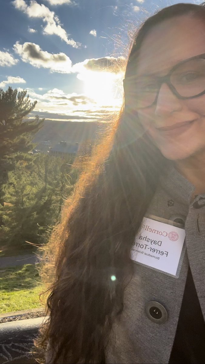 Daysha Ferrer Torres tweet media