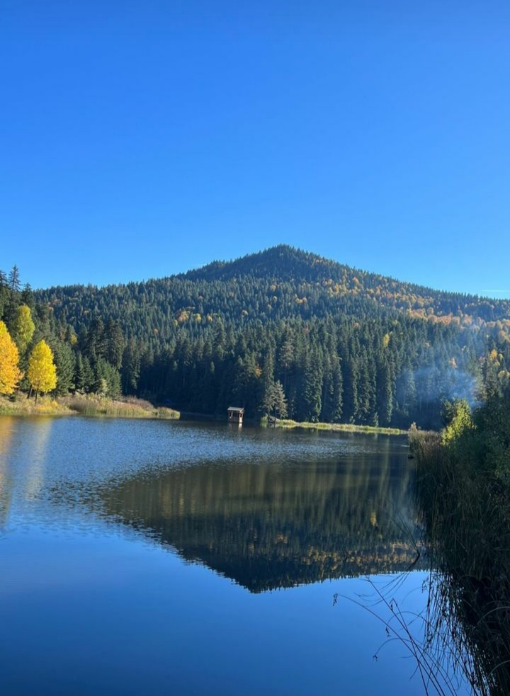 RaufTamerB's tweet image. 