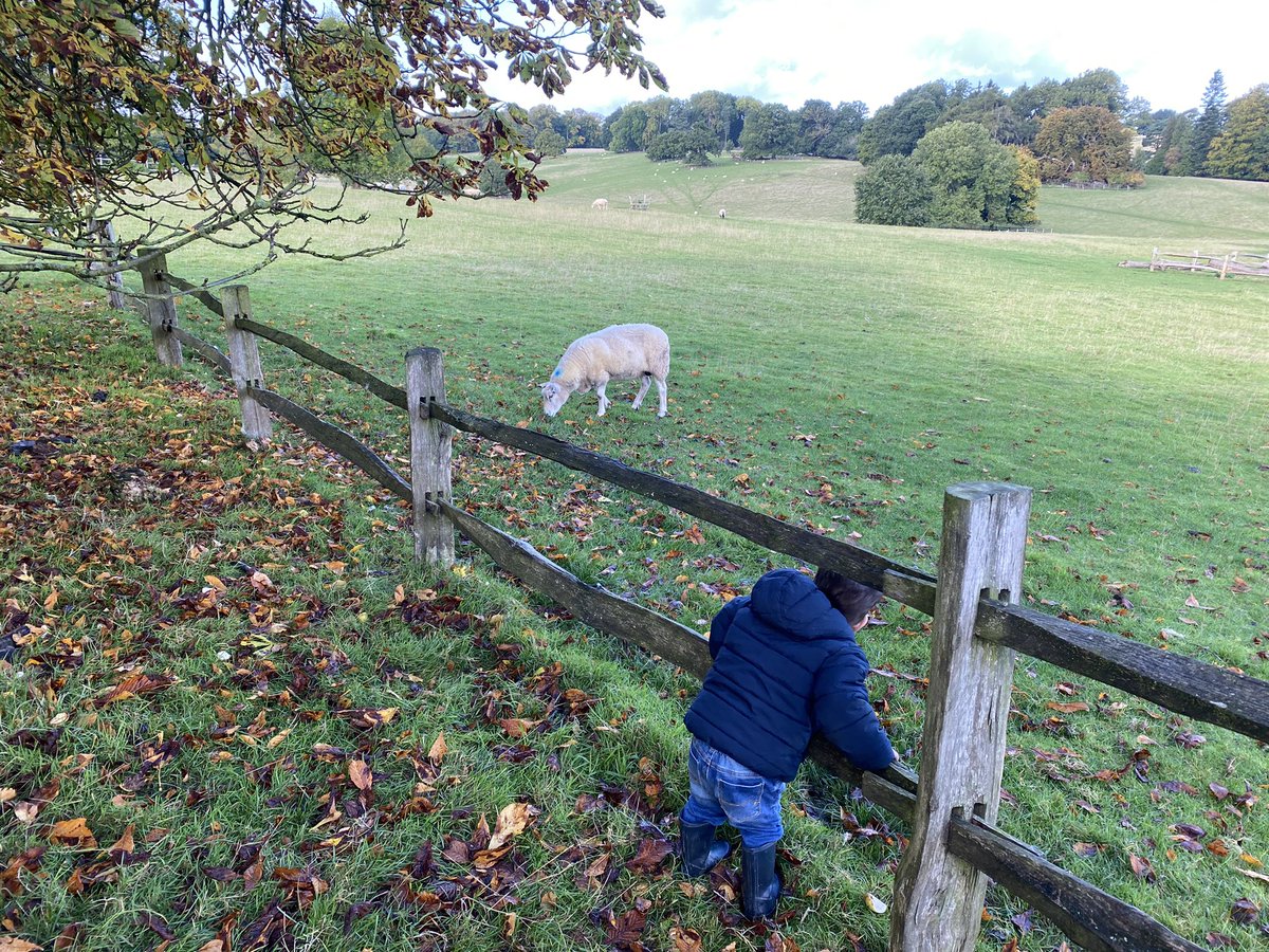 NaomiAlder's tweet photo. My sweet little animal-loving boy is two today! 🐴 🐑 https://t.co/MVYY3Z2BZB