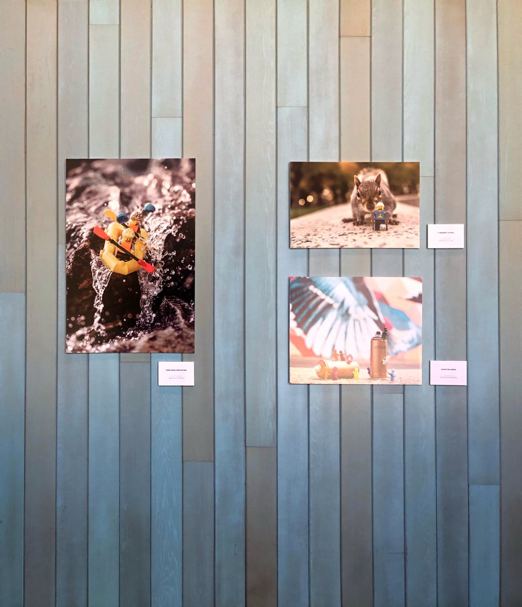 fourbrickstall's tweet photo. So thrilled and grateful to have our work up in @ChronicleBooks store in SF! What a wonderful job they've done! https://t.co/cAgj2r93Xx