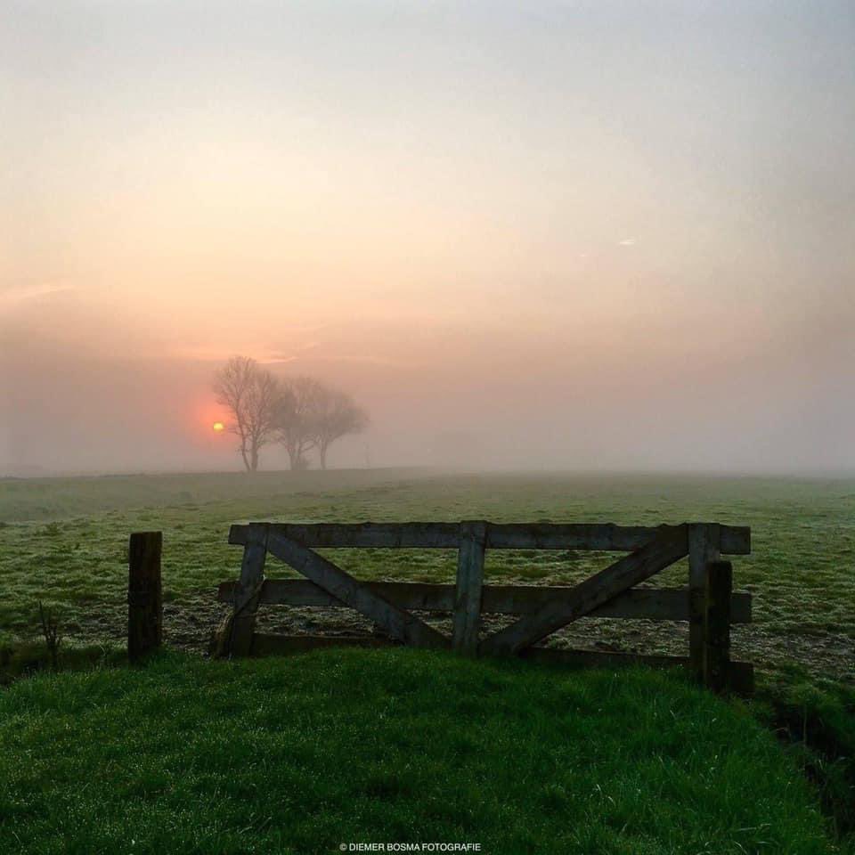 Mooigrunnen's tweet photo. Het Groninger landschap kenmerkt zich door rust en ruimte. Weidse uitzichten. Frisse lucht en natuur. Het Groninger landschap heeft altijd iets magisch.
#mooigrunnen #mooigrunneninbeeld https://t.co/5gq6naP44x