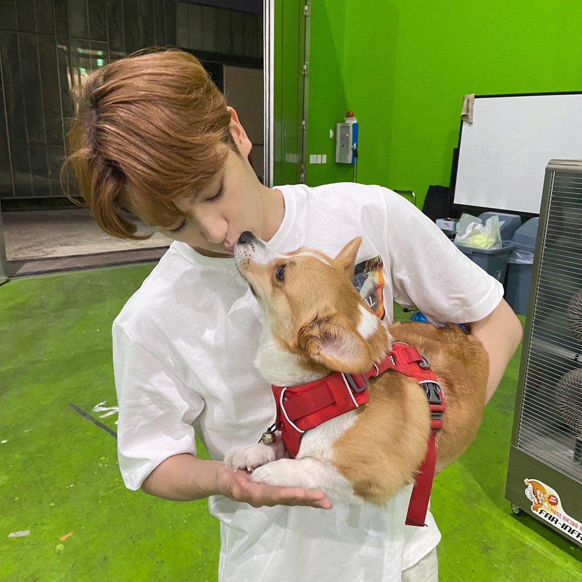 l997_O9l3's tweet photo. 강아띠 뽀뽀 https://t.co/Tw3htOR1fH