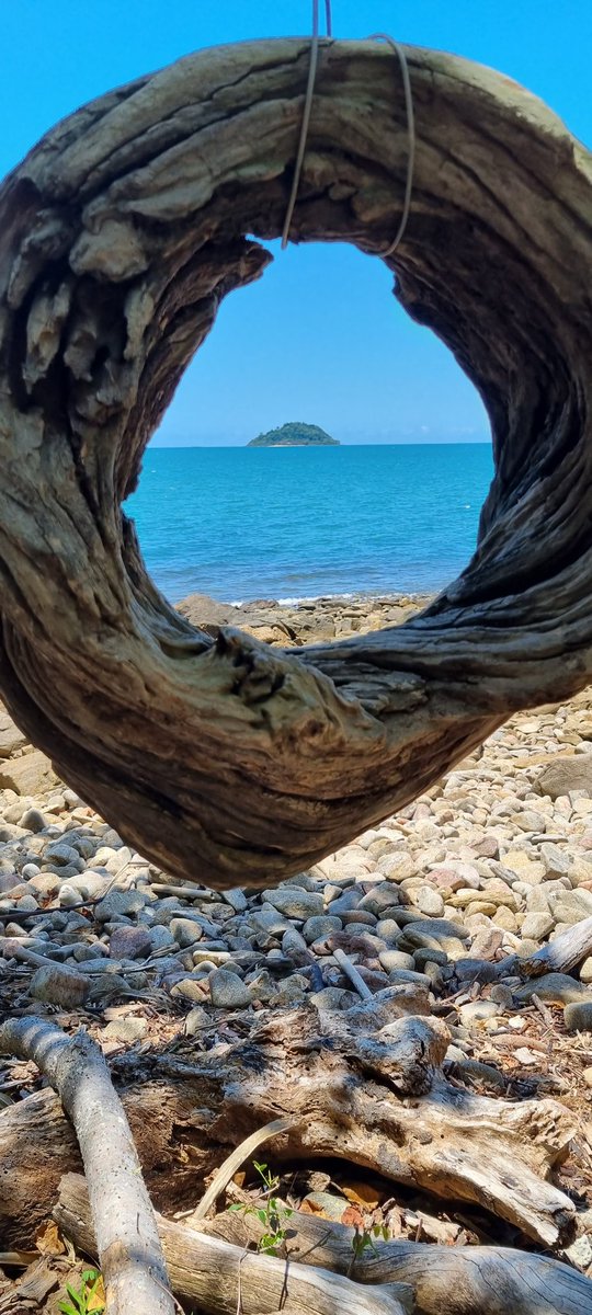 Meldawson6's tweet photo. Framed in driftwood...thank you far north Queensland for a fabulous time, reconnecting...🙏💙 #WetTropics #SaveOurReef #SaveTheDaintree https://t.co/EXrGNsZWSd
