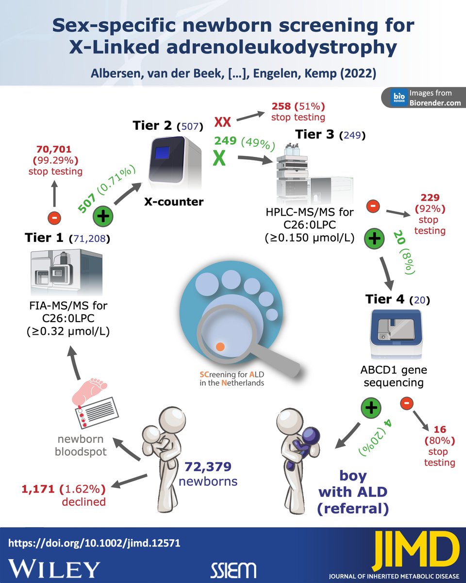 ald_team's tweet photo. The first sex-specific newborn screening program worldwide. Free accessible: https://t.co/2prXFsz64S
Screening of 71 208 newborns resulted in the identification of four boys with adrenoleukodystrophy. The algorithm is ready for nationwide ALD screening in the Netherlands. https://t.co/kVD3hKtrJ2