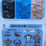 おたる水族館の「アザラシ・アシカ・セイウチ見分け方」がすごい!