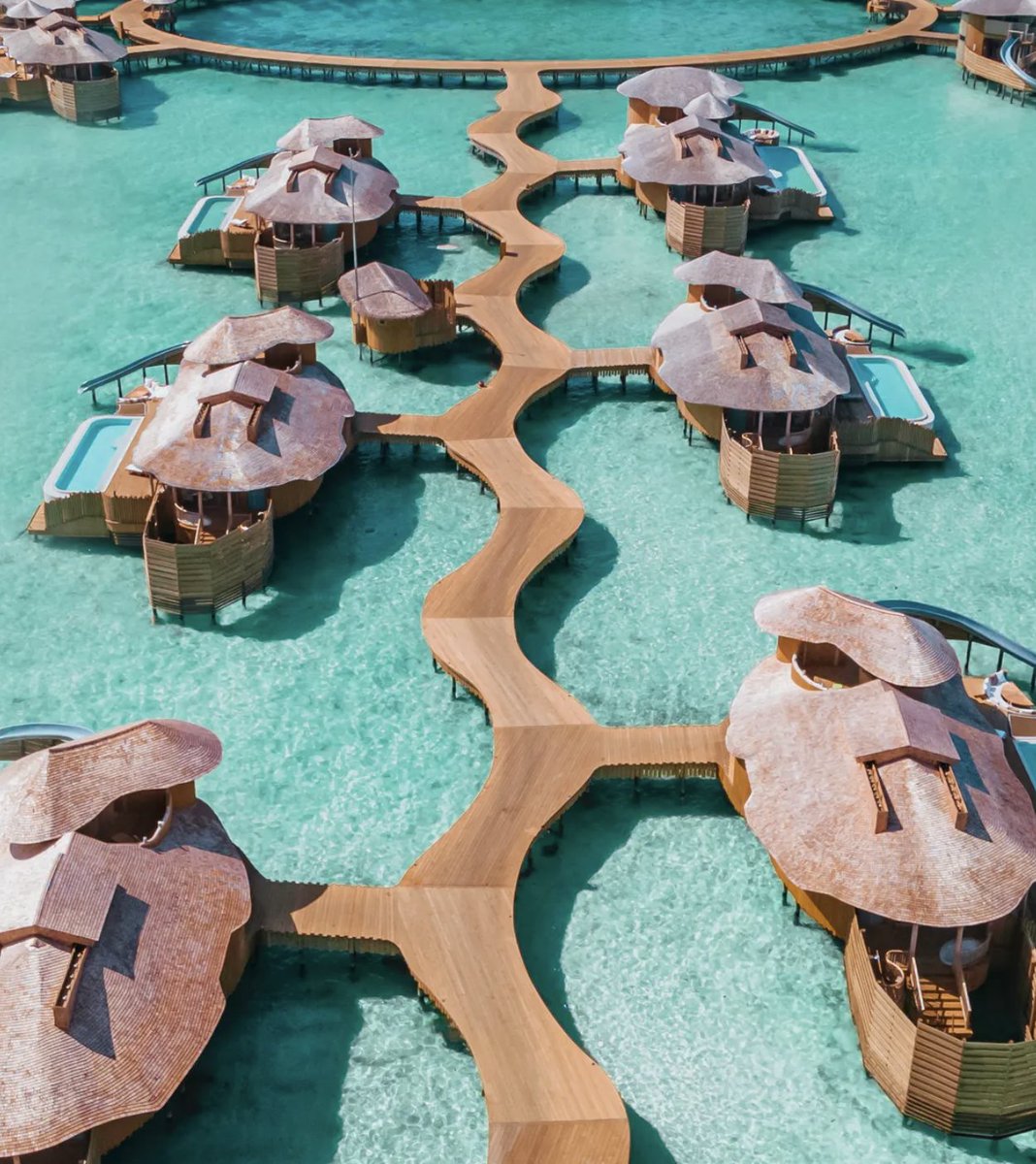 Awardmagic tweet media