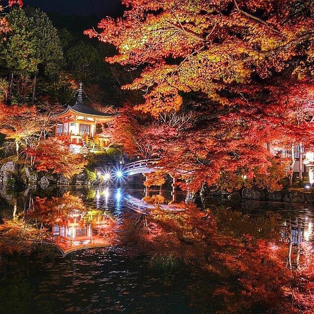 ruben_corella's tweet photo. #japan #japon #nipon #japanese #japaneselandscape #sayonara #japanbynight #home #hogar #nature #NaturePhotography #trees #agua #casa #paisaje #japones #pic #noche #nuit #noite #nacht https://t.co/Rpd7nwLADQ