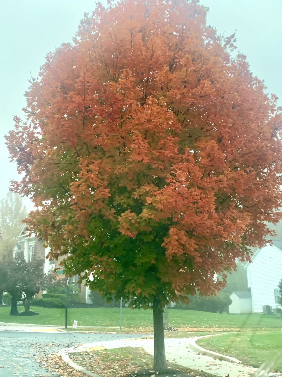 Fall colors in Maryland