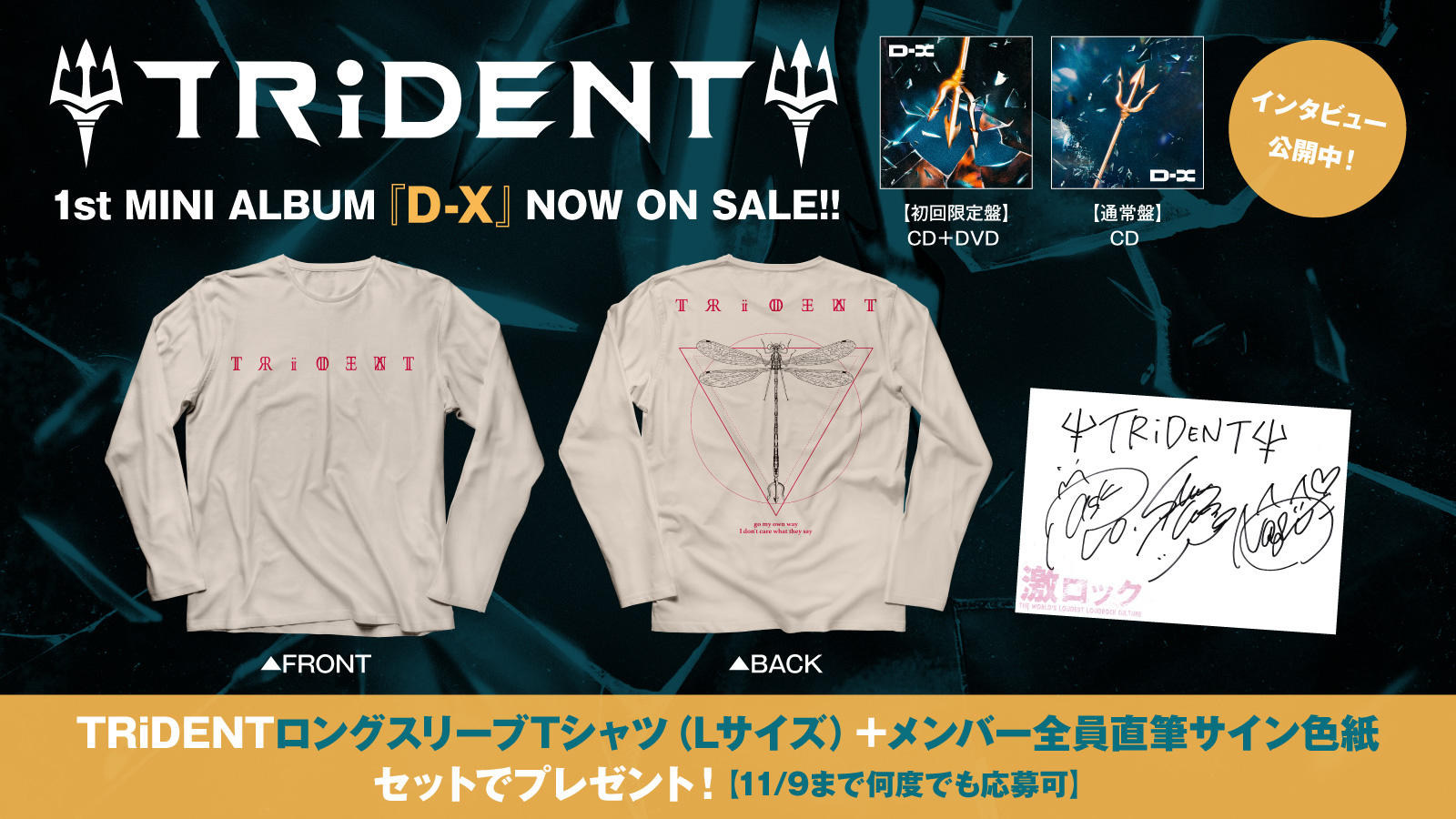 PENGUIN RESEARCH☆サイン色紙 - evc.co.il