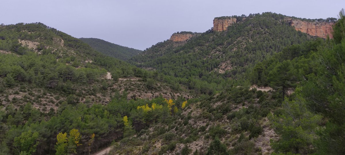 C_sempervirens's tweet photo. Ruteta serrana, Azud de Tuejar, Nevera, Mirador, Azud. #Serrania #Tuejar
@valenciabonita_ @MuntanyaV @PepinoAcn @avamet https://t.co/I3XLESf1T4