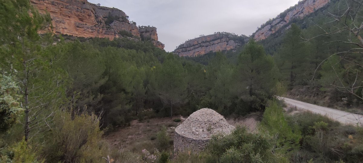 C_sempervirens's tweet photo. Ruteta serrana, Azud de Tuejar, Nevera, Mirador, Azud. #Serrania #Tuejar
@valenciabonita_ @MuntanyaV @PepinoAcn @avamet https://t.co/I3XLESf1T4