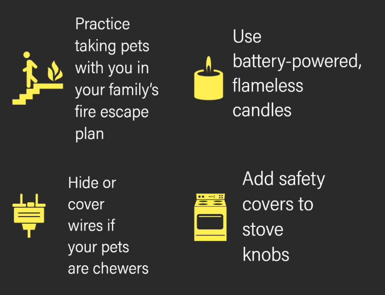 We love our furry friends, but even pets cause hundreds of home fires each year. Keep your pets, family & home safe with these helpful fire safety tips for pets. #petsafetytips #firesafety #dogs #cats #home #StaySafe https://t.co/cVKbbIxl0x