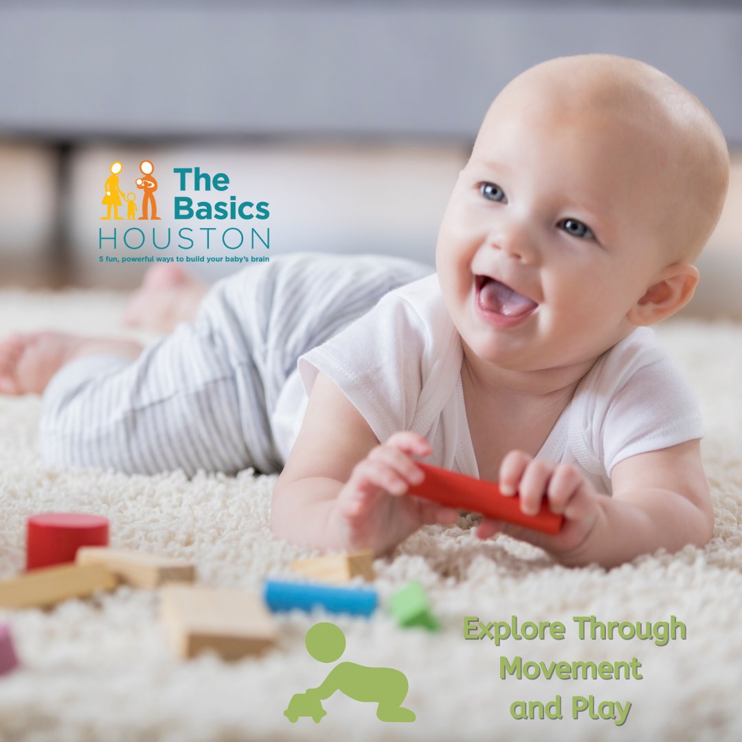 The Basics Houston tweet media