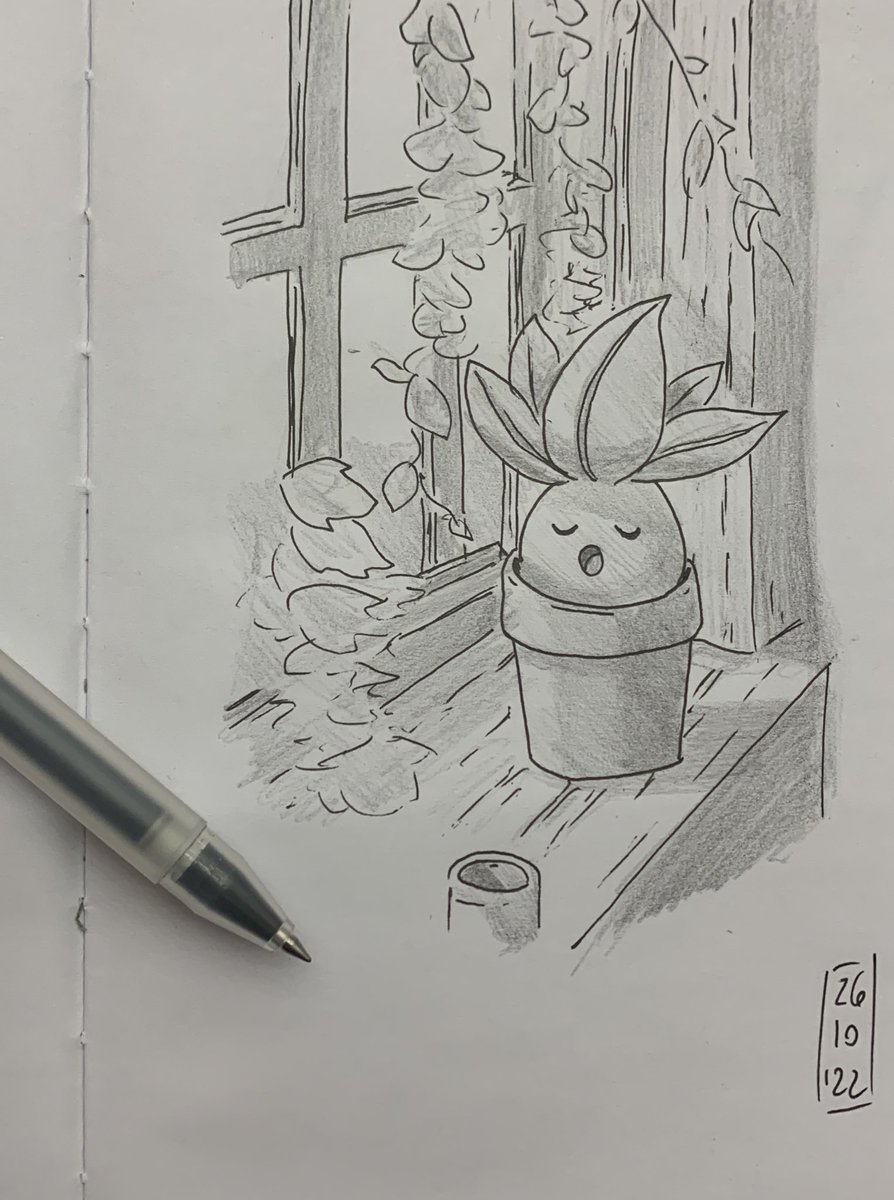 NicolaPunch's tweet photo. Sunbathing 
#Pokemon https://t.co/3l5F0PJ645