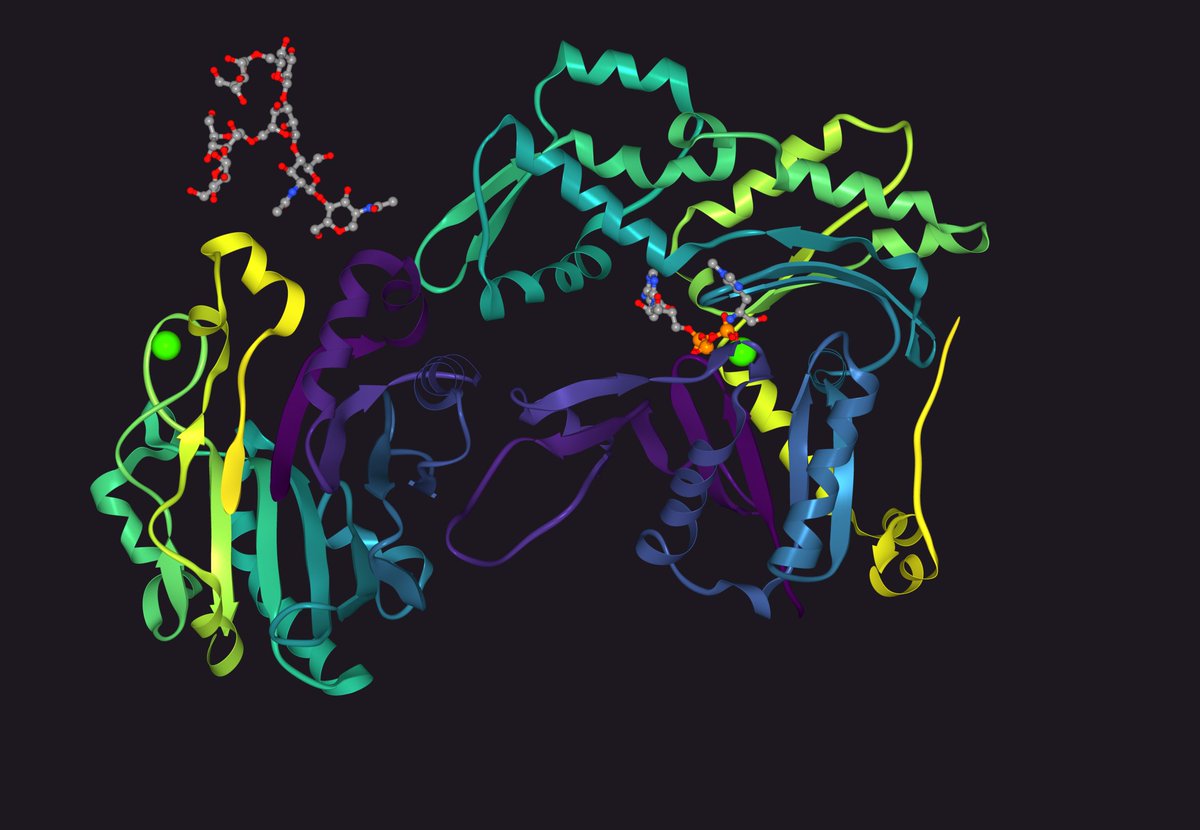 Ribbon Diagrams On Twitter 3W3D Crystal Structure Of Smooth Muscle G for Dnase Structure