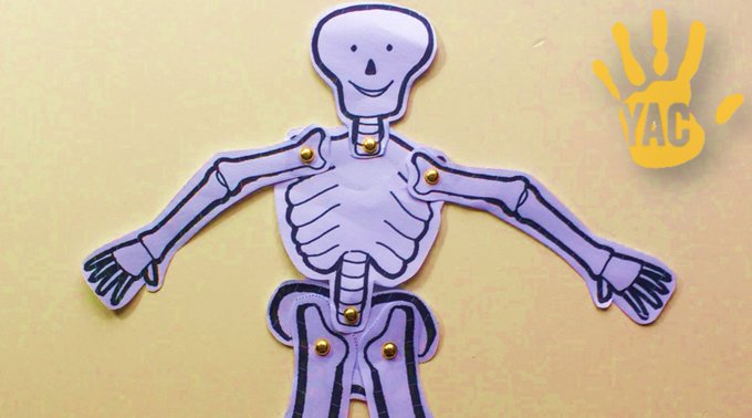 Our next #Halloween activity is here! Archaeologists often discover human bones when they dig. It's really useful to be able to identify each bone, so why not try our 'build your own skeleton' activity? Created by osteoarchaeologist @KirstySquires2 yac-uk.org/activity/build…