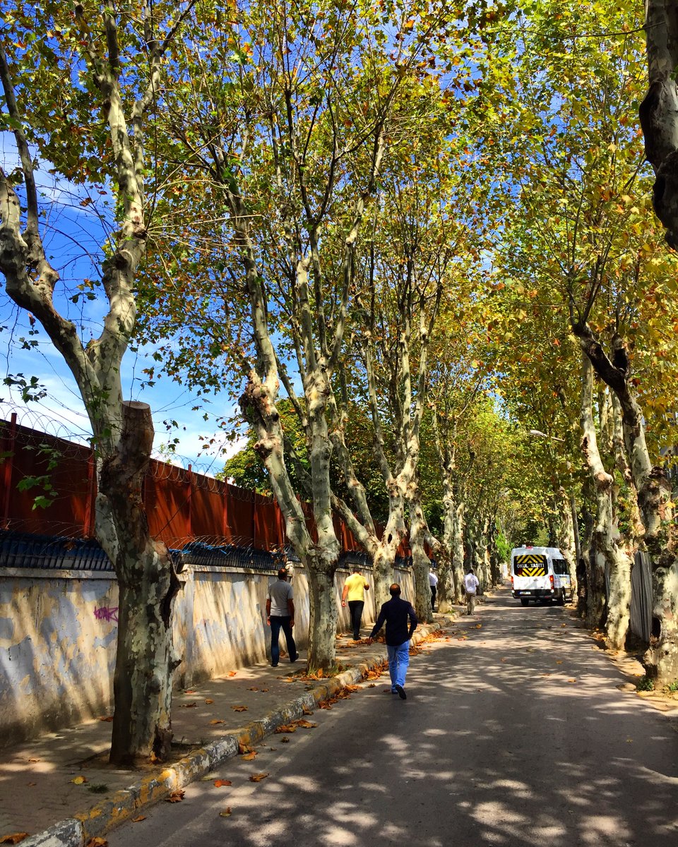 📣 #Günaydın sevgili Pendikliler 🌤️ #Pendik'te bugün hava sıcaklığı en yüksek 🌡 20°C olacak ve az bulutlu bir hava bizi bekliyor. 💐 Mutlu haftalar dileriz. 👍🏻 #NeVarsaPendikteVar 🗓️ 31 Ekim 2022 #Pazartesi 📍 Batı Mah. / Kızılay Caddesi