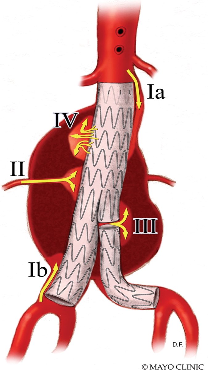 RadioGraphics tweet media