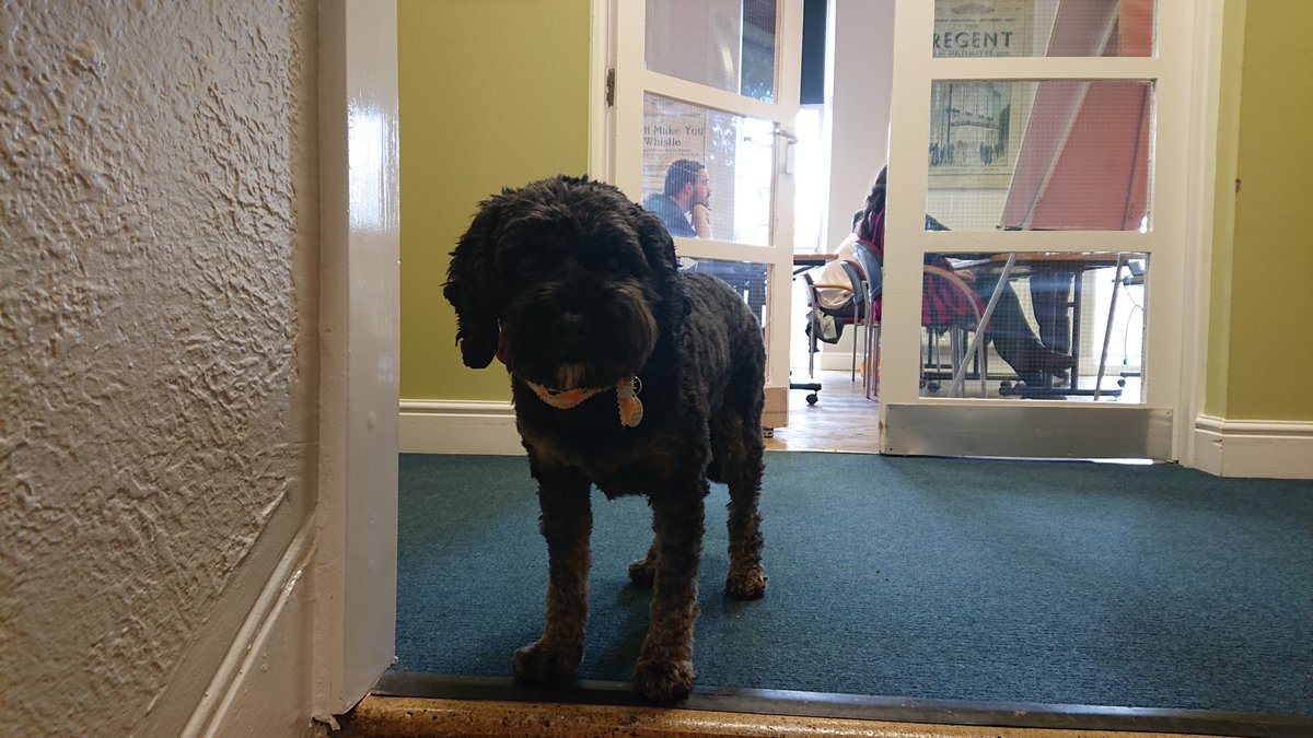 Susan Watkins (@inspirasusanw) on Twitter photo Have you met Frankie? <a href="/BodiesUk/">Better Bodies UK Limited</a> staff in charge of wellbeing. Helping out <a href="/EdenRuralFoyer/">Eden Rural Foyer</a> on customer service training course. Next stop employment with local flagship employers! <a href="/inspiraforlife/">Inspira</a> <a href="/EdenCouncil/">Eden District Council</a> <a href="/JCPinCumbria/">JCP in Cumbria</a> Have you met Frankie? <a href="/BodiesUk/">Better Bodies UK Limited</a> staff in charge of wellbeing. Helping out <a href="/EdenRuralFoyer/">Eden Rural Foyer</a> on customer service training course. Next stop employment with local flagship employers! <a href="/inspiraforlife/">Inspira</a> <a href="/EdenCouncil/">Eden District Council</a> <a href="/JCPinCumbria/">JCP in Cumbria</a>