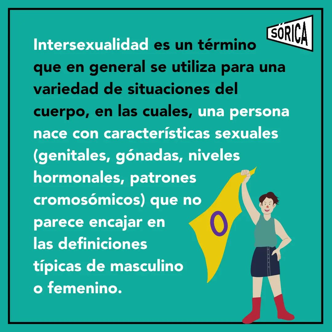 SoricaFeminismo tweet picture