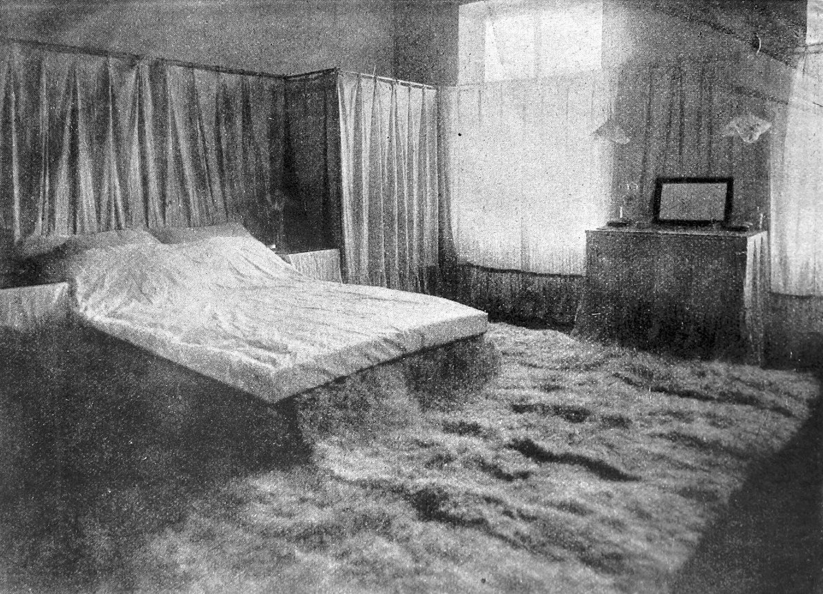 this thread misses the most important thing about alfred loos: his weird furry bedroom