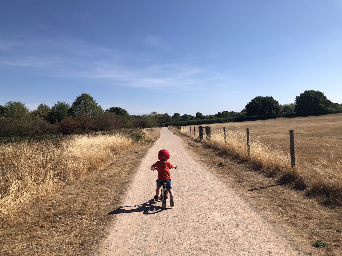 Felix Lowe tweet media