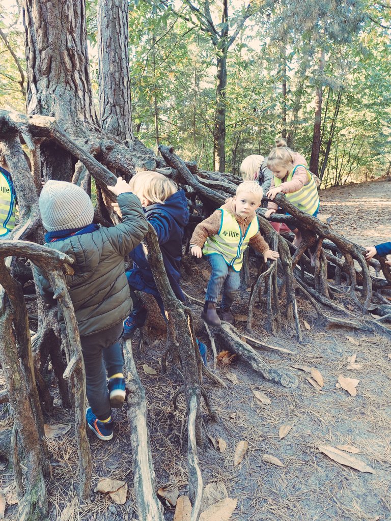 juf_elien's tweet photo. Op zoek naar kabouters #herfstwandeling #kabouterbos #voorhetgoededoel #sponsortocht #trapleerke https://t.co/nTlmhw7s0H