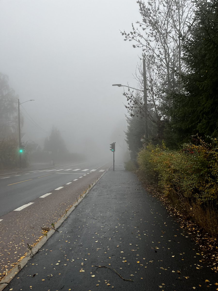 Praying that a car don’t hit me in this spooky ahh weather rn😭