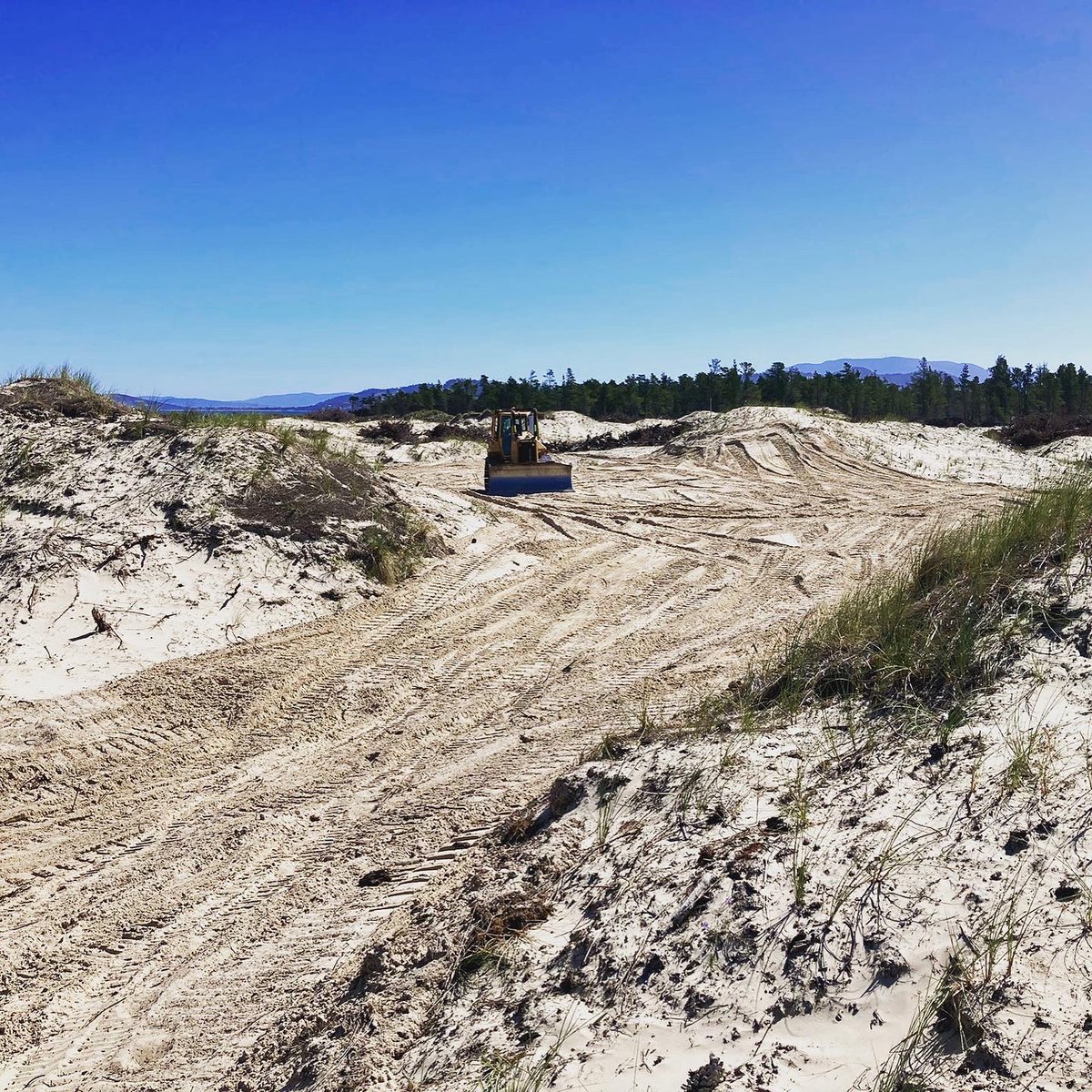 7milegolf's tweet image. On day one @DeVriesDesigns jumped in his dozer and sped off to build #14.  45 mins later we had this gem.  Everything you need to know about why #7mb excited us so much is right here in these photos…