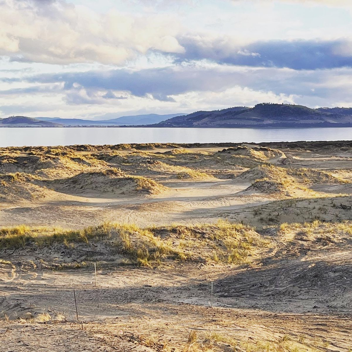 7milegolf's tweet image. On day one @DeVriesDesigns jumped in his dozer and sped off to build #14.  45 mins later we had this gem.  Everything you need to know about why #7mb excited us so much is right here in these photos…