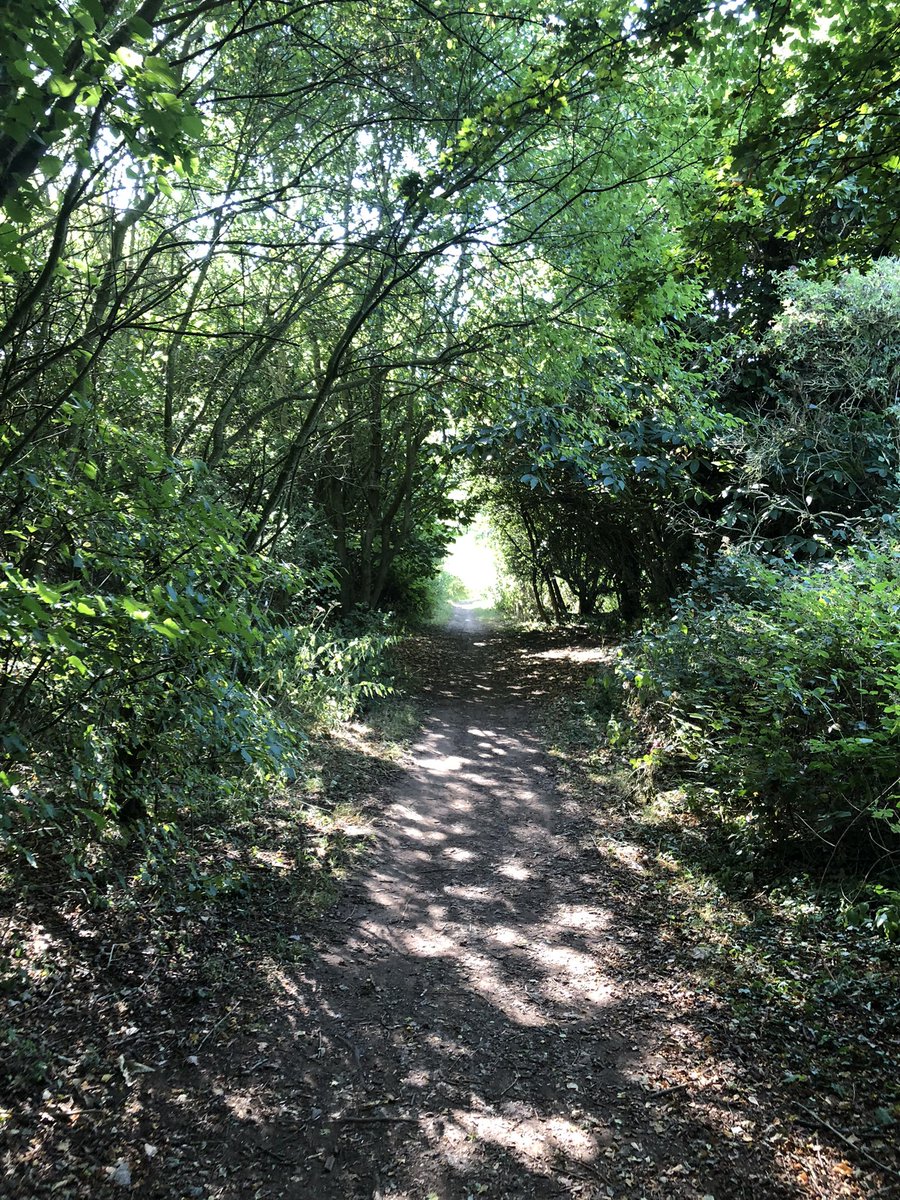 meerkat_mob's tweet image. GM #Cardano 🌞

Nice chill walk to start the day off from the fiat mines, stepped in dog shit but nothings killing my vibe today.

Where’s your web2 happy place #MeerkatMob? ✌️

#CNFTCommunity #CNFT #CardanoNFT #NFTs #NatureLover