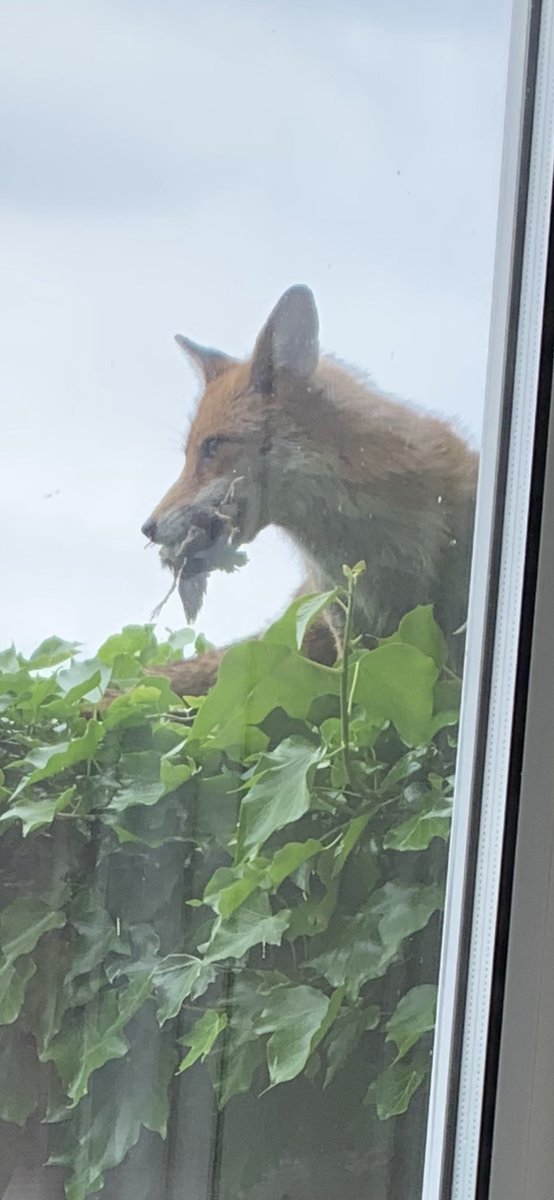 Woody Wade🇺🇦🌻 tweet media